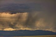 Stormy Pronghorn. Photo by Dave Bell.