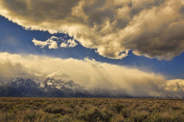 Sea Of Sage. Photo by Dave Bell.