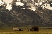 Abandoned Homestead. Photo by Dave Bell.