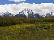 Mt. Moran. Photo by Dave Bell.