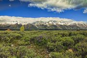 Teton Range. Photo by Dave Bell.