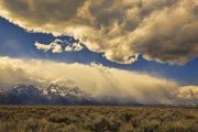 Sea Of Sage. Photo by Dave Bell.