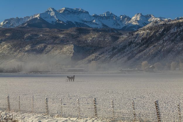 Foggy Morning. Photo by Dave Bell.