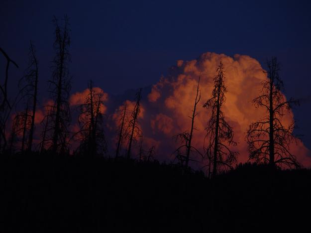 Sunlit Sunset Clouds Above Lake Ethel. Photo by Dave Bell.