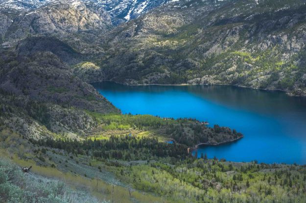 Dapplled Light On Upper Fremont Lake. Photo by Dave Bell.