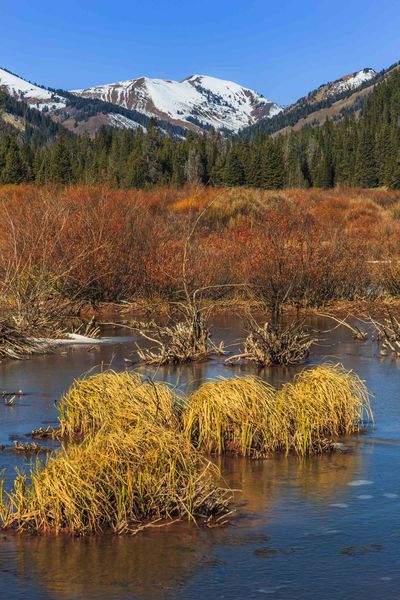 Cottonwood Creek Scenery. Photo by Dave Bell.