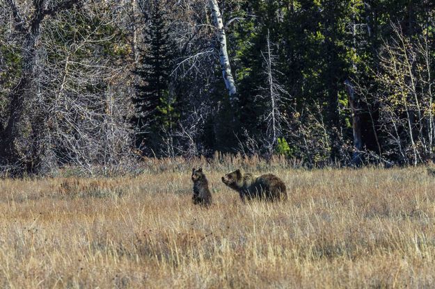 Learned From Mom. Photo by Dave Bell.