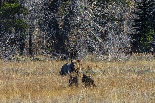 Waiting For Mom. Photo by Dave Bell.