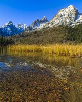 String Lake Morning. Photo by Dave Bell.