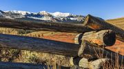 The Old Boundary Fence. Photo by Dave Bell.