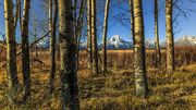 Mt. Moran Through The Slot. Photo by Dave Bell.