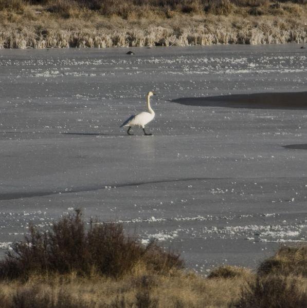 There Was Water Here Yesterday@!. Photo by Dave Bell.