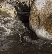 Frosty Rivulet. Photo by Dave Bell.