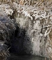 Ice and Hoar Frost. Photo by Dave Bell.