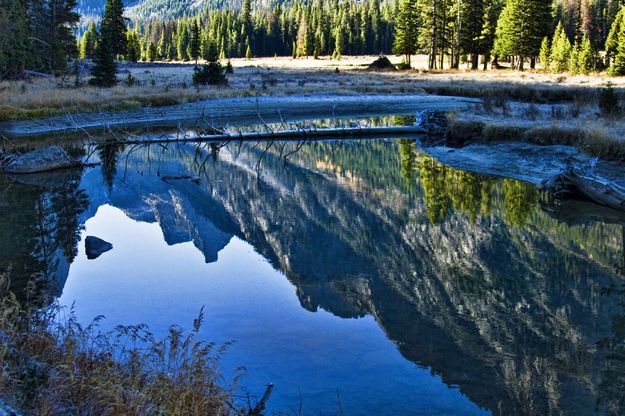 Reflection In The Green. Photo by Dave Bell.