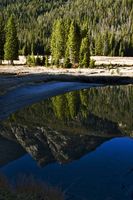 Reflection. Photo by Dave Bell.