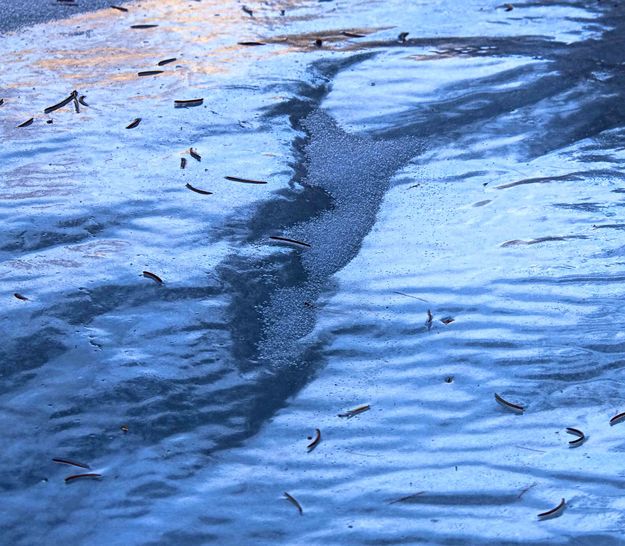 Patterns In The Ice. Photo by Dave Bell.