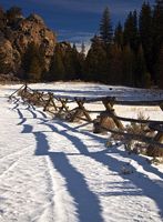 Shadows. Photo by Dave Bell.