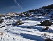 Desert Scene. Photo by Dave Bell.