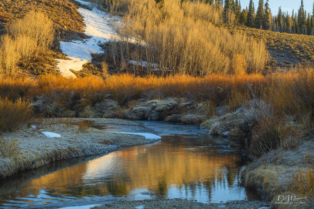 Bend In The Stream. Photo by Dave Bell.