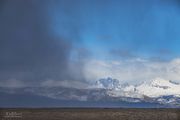 Snow Squall. Photo by Dave Bell.