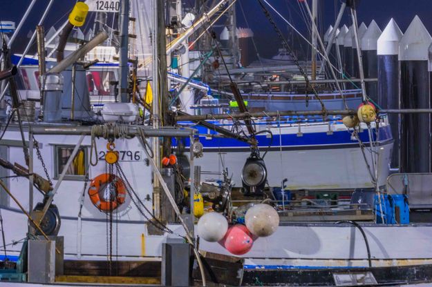 Moored Trawlers. Photo by Dave Bell.