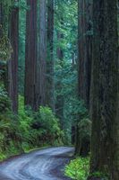 They Filmed Star Wars Here. Photo by Dave Bell.