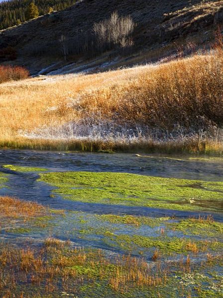 Cold Morning At Warm Springs. Photo by Dave Bell.