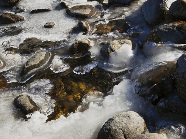 Icy Patterns. Photo by Dave Bell.