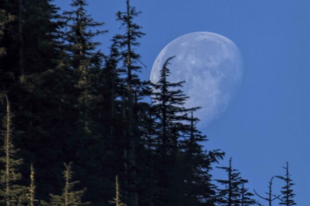 Setting Moon. Photo by Dave Bell.