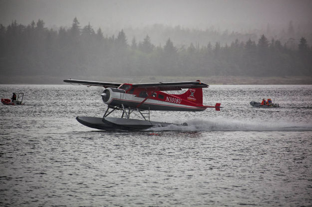 Lift-Off. Photo by Dave Bell.