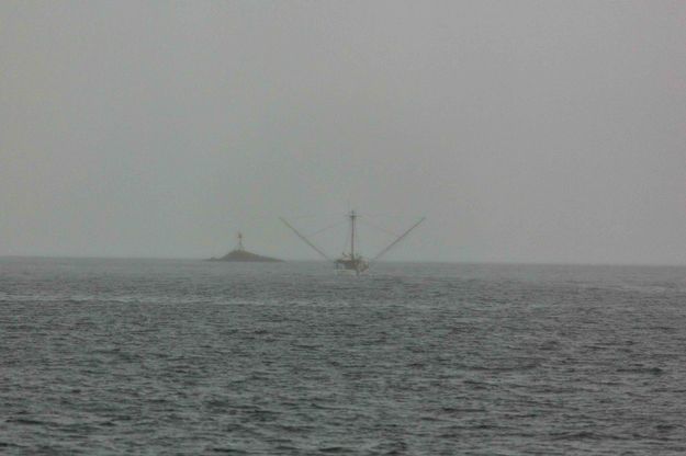 Fishing In The Rain. Photo by Dave Bell.