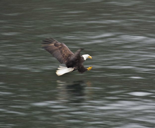 Stall Speed. Photo by Dave Bell.