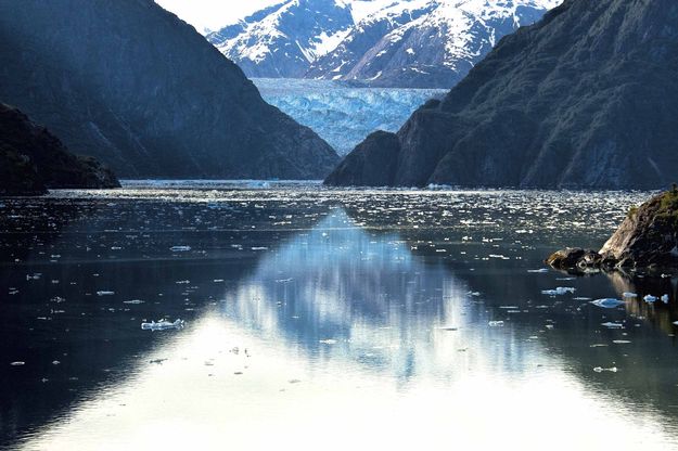 Reflective Symmetry. Photo by Dave Bell.