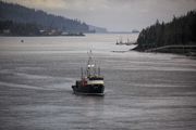 Clarence Strait. Photo by Dave Bell.