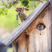 Dinner. Photo by Dave Bell.