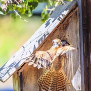 Cmon Hurry Up!. Photo by Dave Bell.