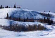 Winter Scenery. Photo by Dave Bell.