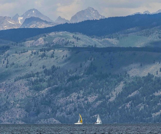 Sailing Bye!. Photo by Dave Bell.