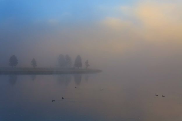 Floating Pastels. Photo by Dave Bell.