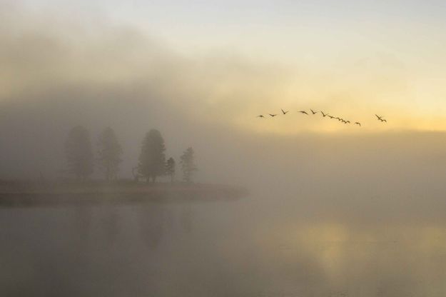 Out Of The Fog. Photo by Dave Bell.