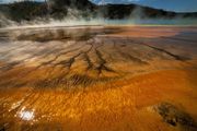 Grand Prismatic Spring. Photo by Dave Bell.