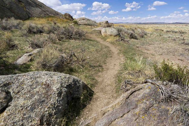 Walking Trail. Photo by Dave Bell.