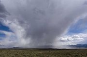 Snow Squall. Photo by Dave Bell.