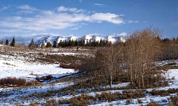 Sawtooth Scenery. Photo by Dave Bell.