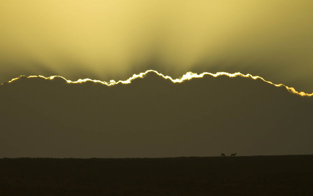 Sunrise Rays. Photo by Dave Bell.