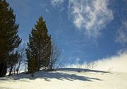 Blue Sky. Photo by Dave Bell.