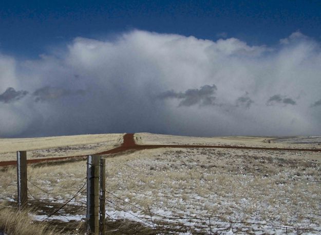 Spring Snow. Photo by Dave Bell.