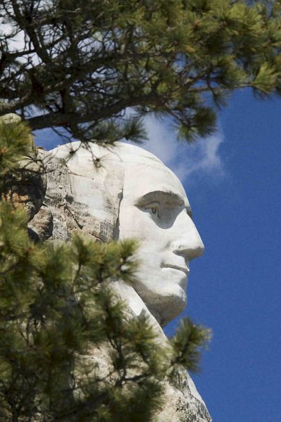 Mr. Washington. Photo by Dave Bell.