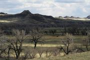 Wyoming Spring. Photo by Dave Bell.